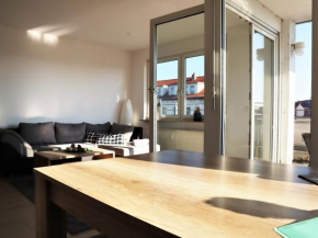 Exklusive Wohnung mit Dachterrasse in Schleußig